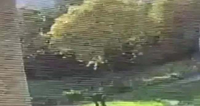 İstanbul’da İki Noktada Yangın Çıkaran Şüpheli Suçüstü Yakalandı 3