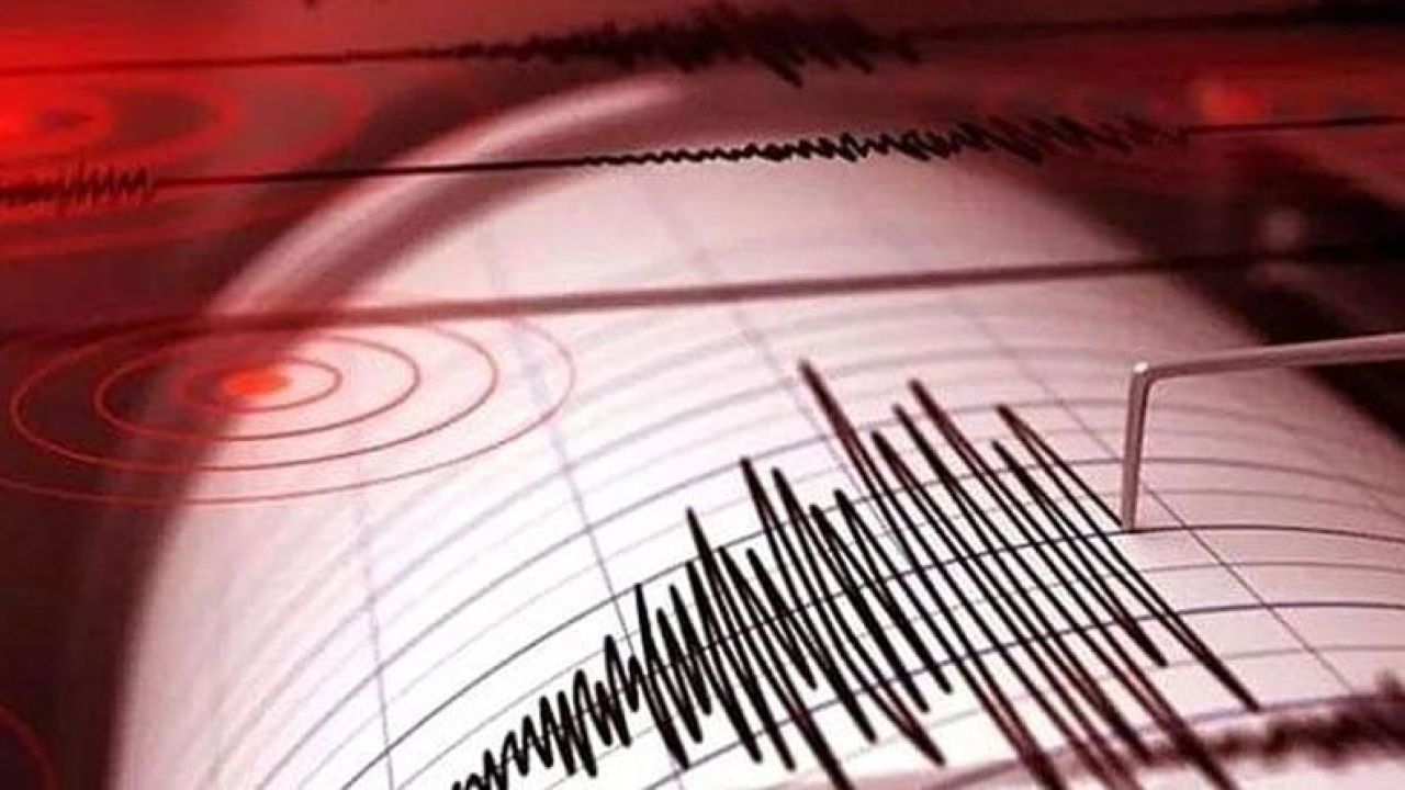 Muğla Açıklarında Peş Peşe Depremler Korkuttu 5