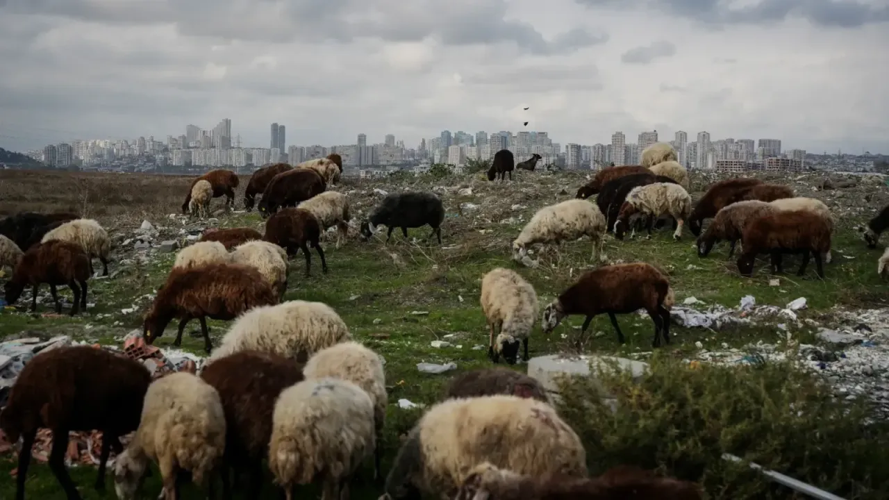 İSTANBUL'DA KORKUNÇ MANZARA! 1