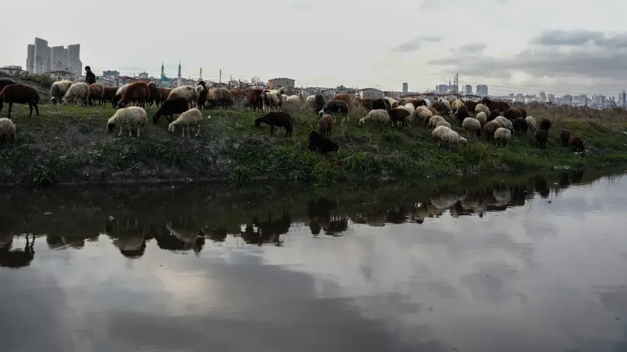 İSTANBUL'DA KORKUNÇ MANZARA! 2