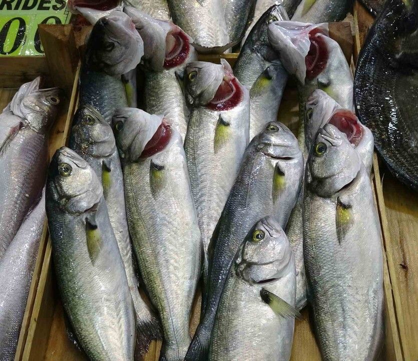 Kasım'da Hangi Balık Yenir? 5