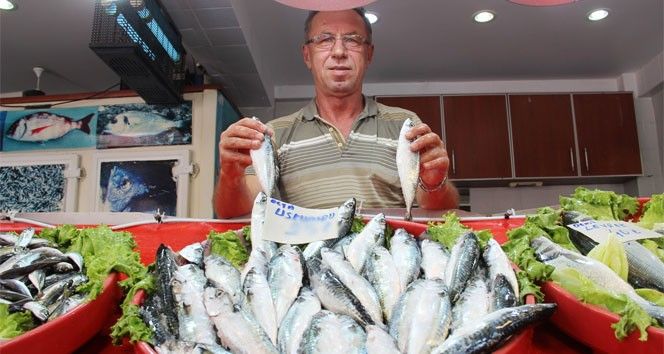 Kasım'da Hangi Balık Yenir? 4