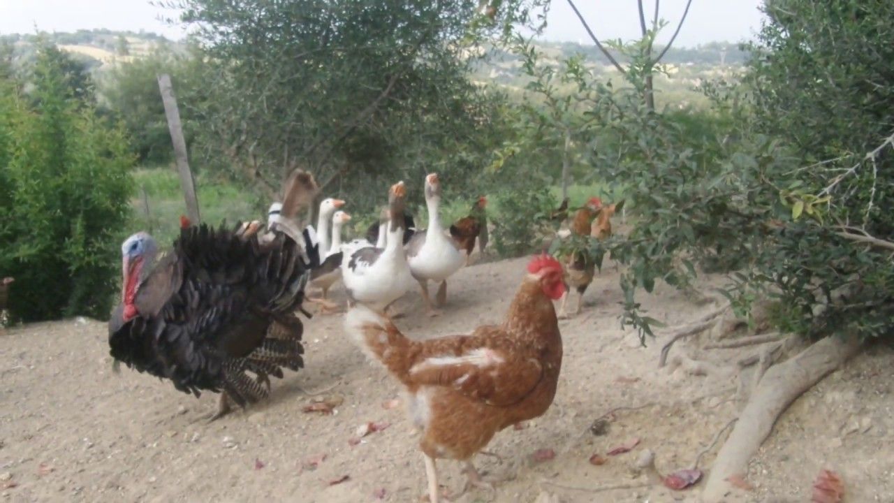 YENİ SALGIN ALARMI!... Ekonomiyi kötü etkilemesinden korkuluyor! 1