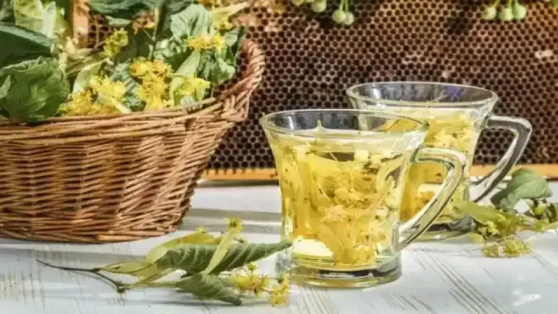 ÇOK SEVİLEN IHLAMUR ÇAYININ 7 FAYDASI 4