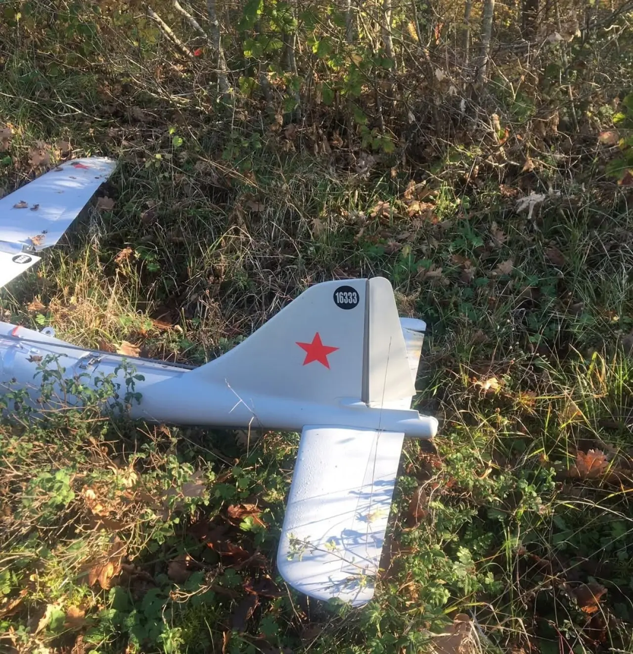 Kocaeli'de kırsala İHA düştü! Vatandaşlar neye uğradığını şaşırdı 4