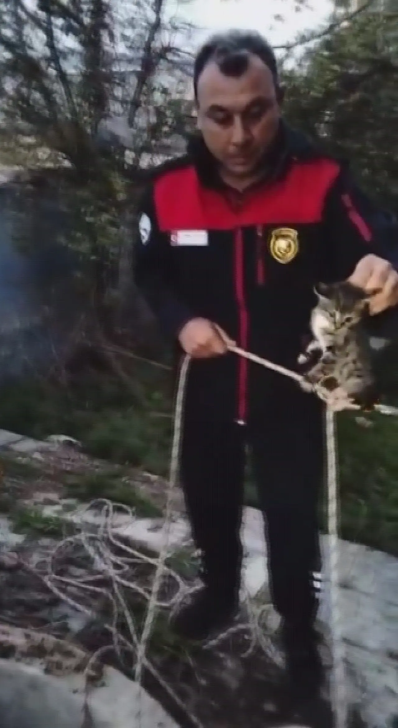 Hatay’da yavru kedi operasyonu! İtfaiye minik canı kurtardı 3