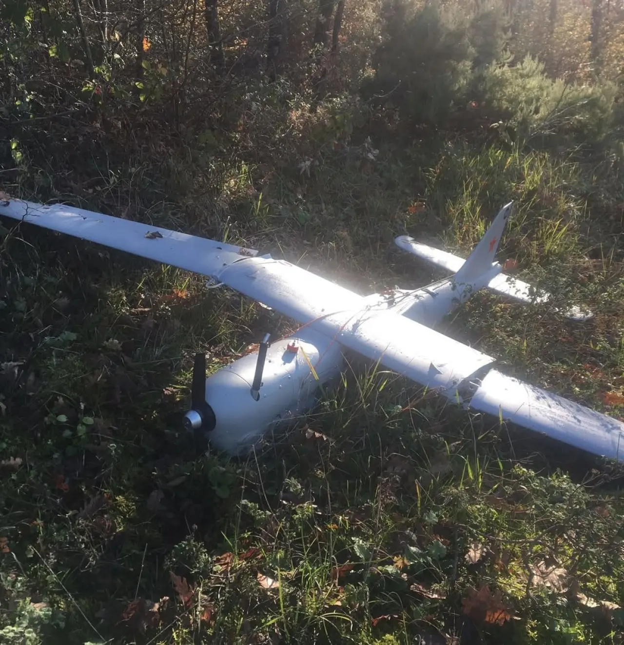 Kocaeli'de kırsala İHA düştü! Vatandaşlar neye uğradığını şaşırdı 3