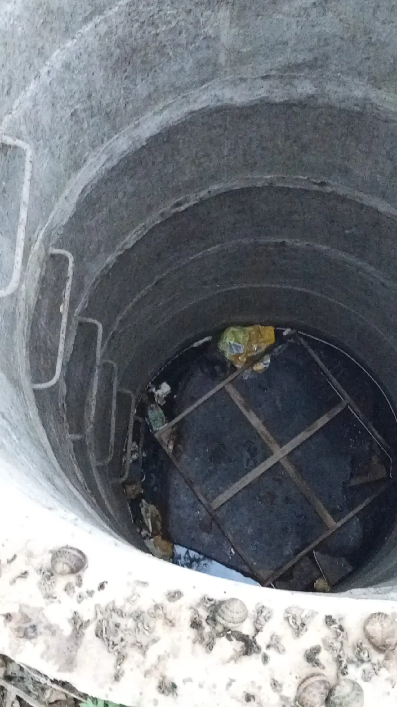 Hatay’da yavru kedi operasyonu! İtfaiye minik canı kurtardı 1