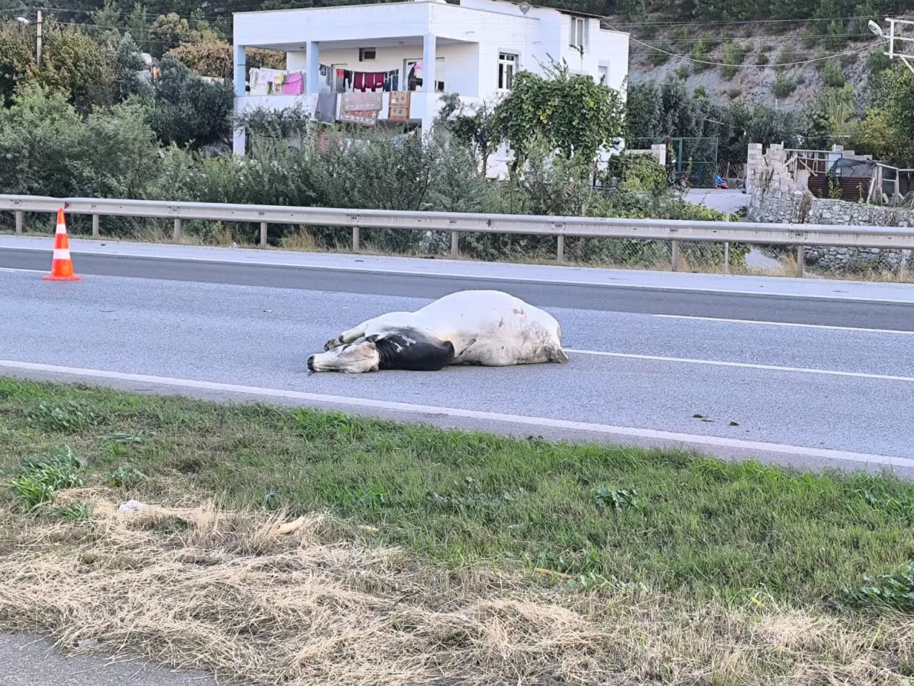 Hatay otobanında kabus gibi kaza! Tırdaki 2 kişi yanarak can verdi 4
