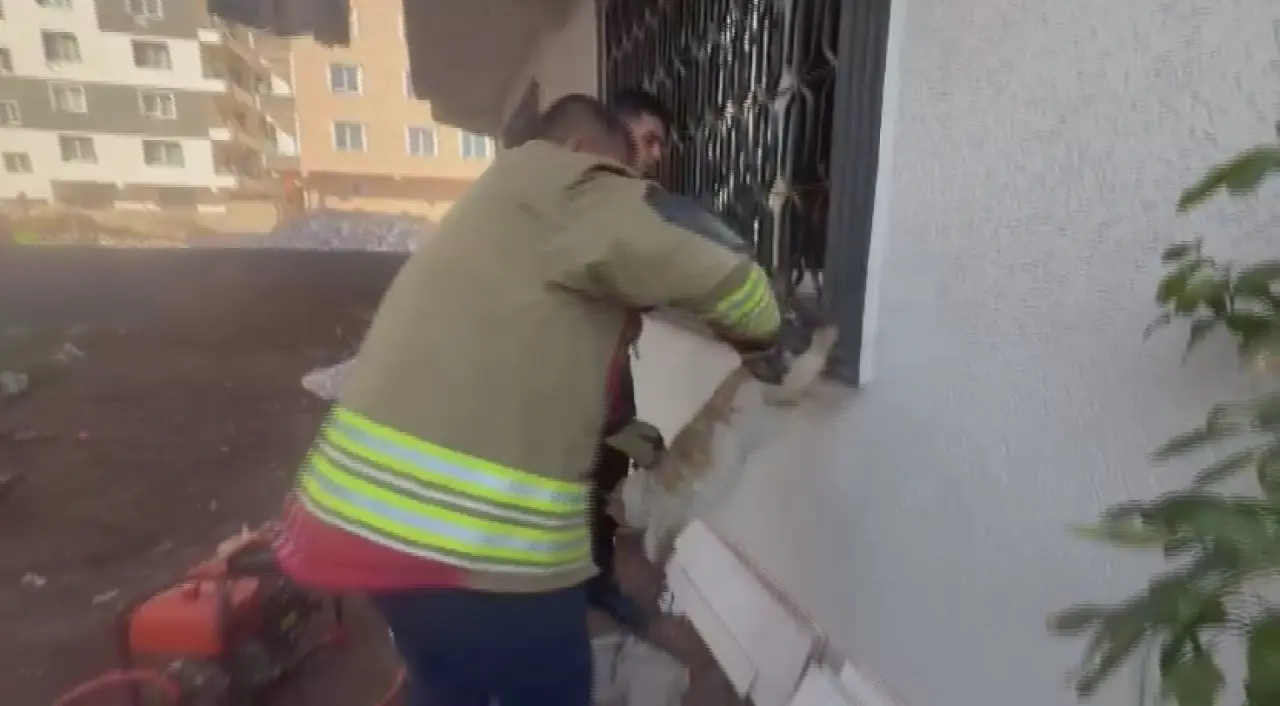Mahsur kaldı, umutla miyavladı: İtfaiye kediyi kurtardı 3