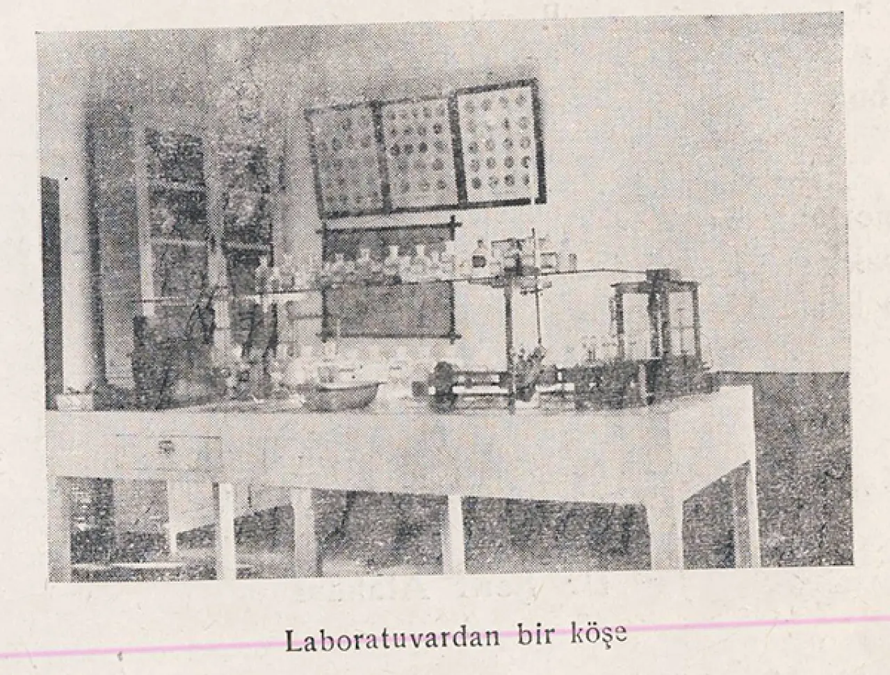 Sivas Numune Hastanesi’nin İsmi ve Tarihi Nereden Geliyor? 5