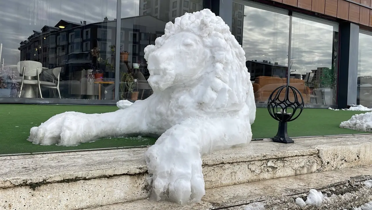 Kardan Adam Değil, Kardan Aslan Yaptı 6