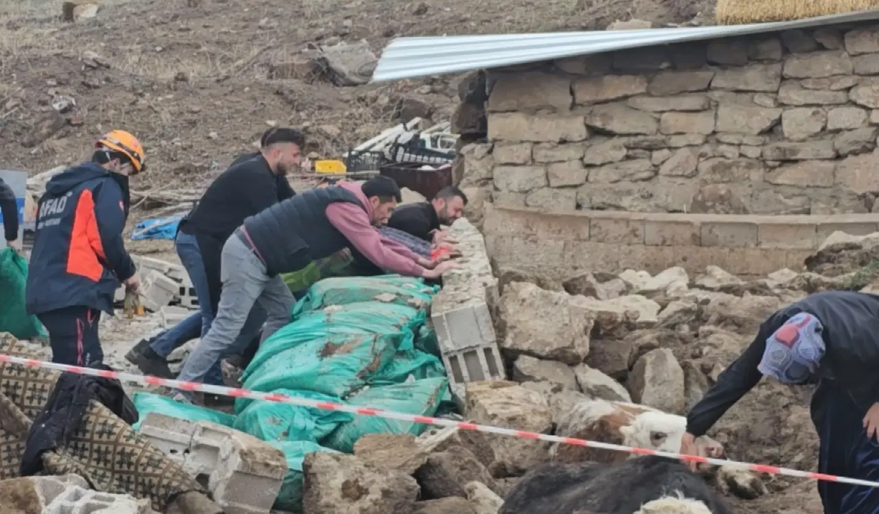 Aksaray’da ahır çöktü! 3 büyükbaş hayvan göçük altında kaldı 1