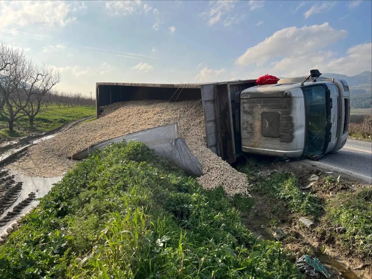 Bilecik’te mısır yüklü çekici devrildi! Yol trafiğe kapandı 1