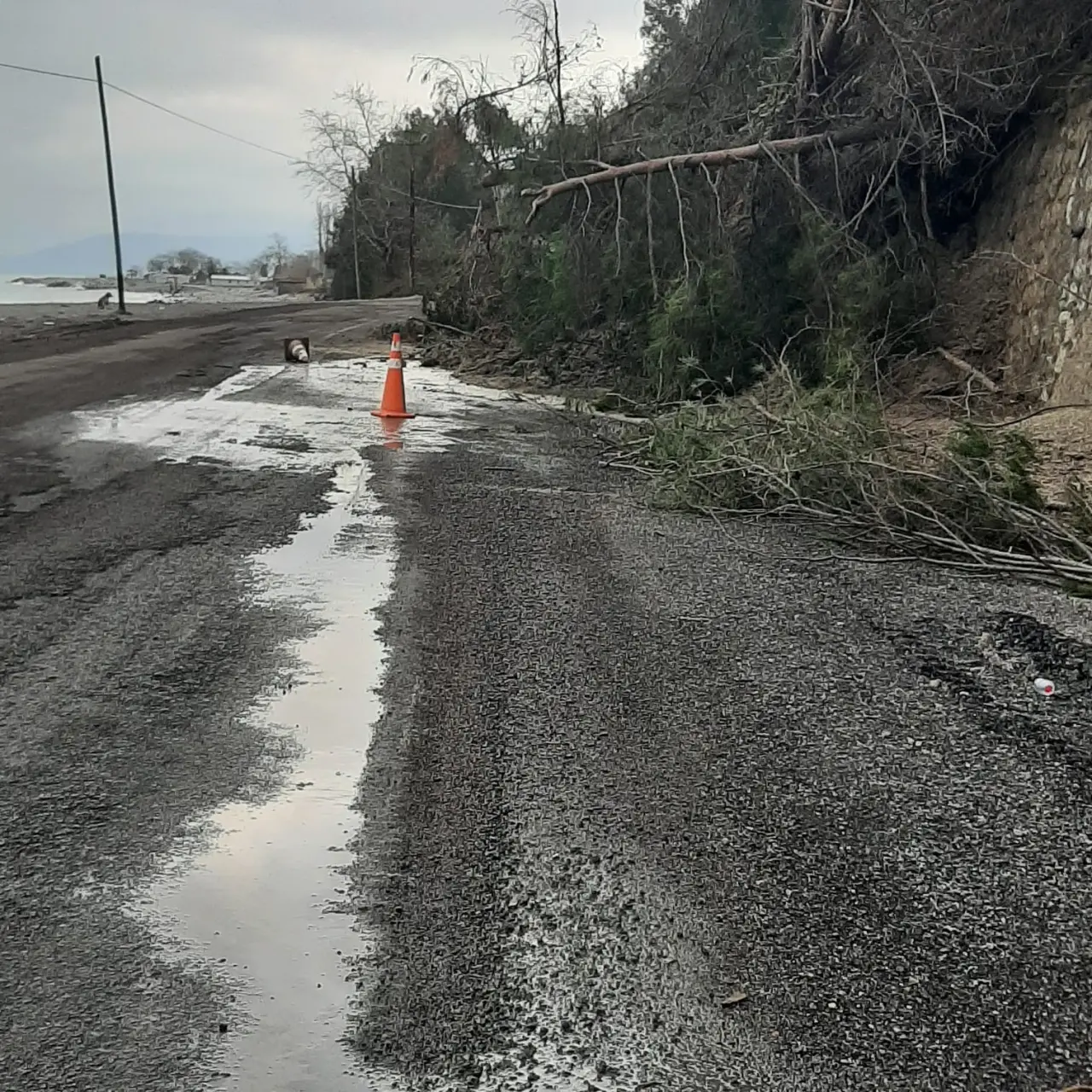 Kastamonu'da heyelan kabusu! Toprak ve ağaçlar karayolunu kapattı 1