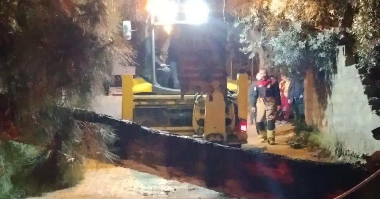 Hatay’da fırtına hayatı felç etti! Yol ağaçla kapandı 2