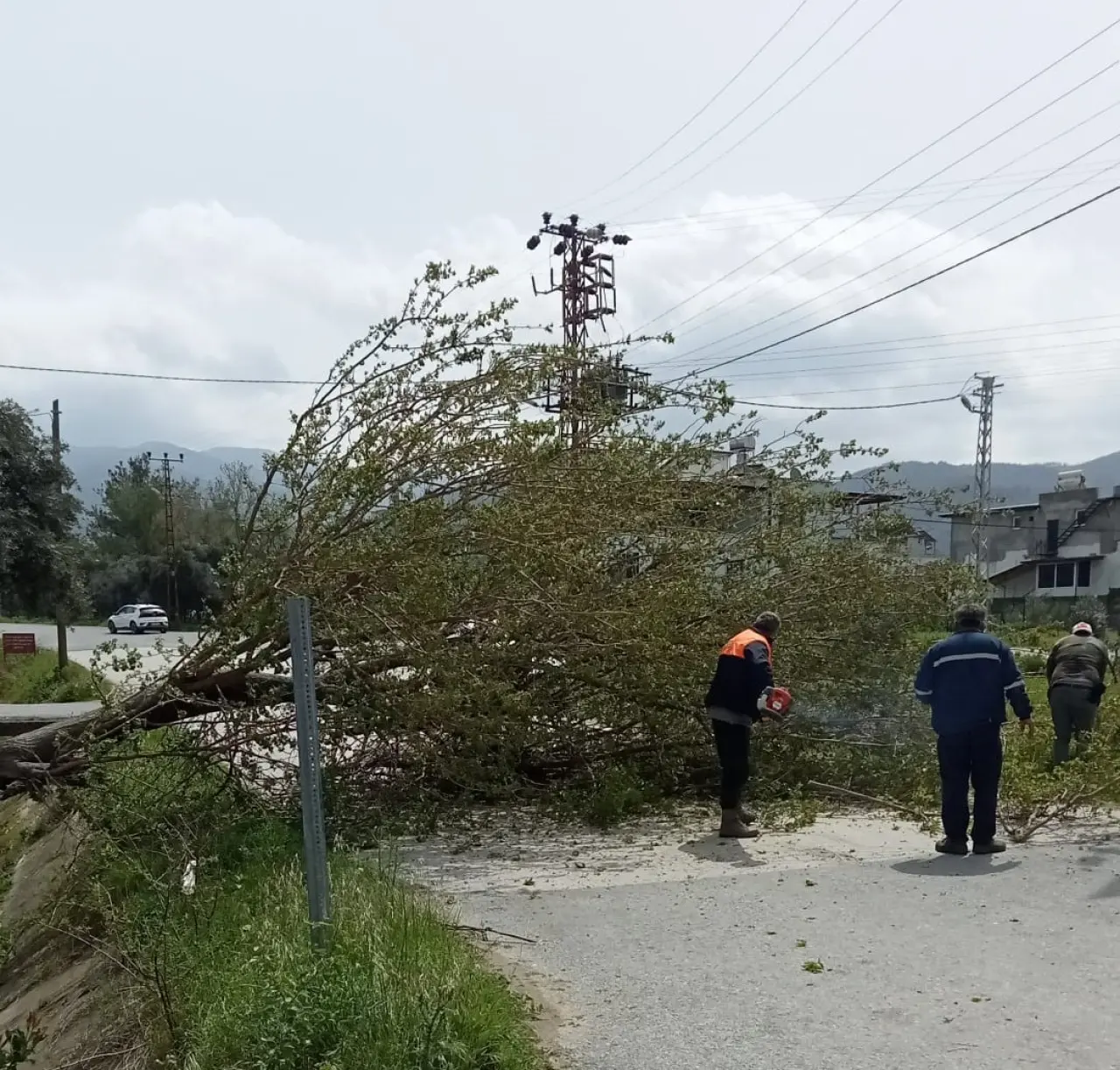Düziçi’nde fırtına kabusu! Ağaçlar devrildi, yollar kapandı 4