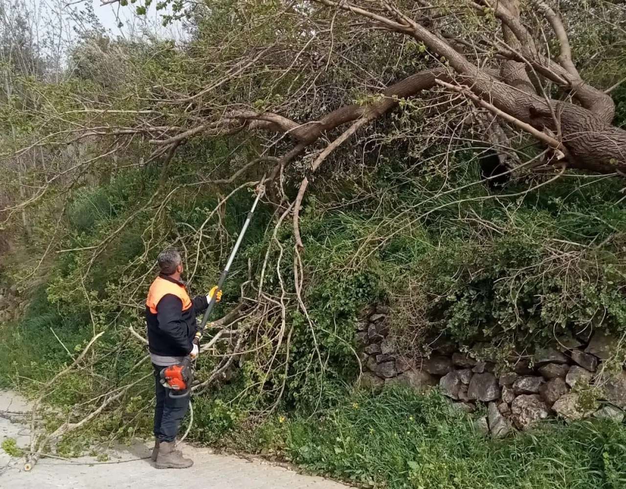 Düziçi’nde fırtına kabusu! Ağaçlar devrildi, yollar kapandı 1