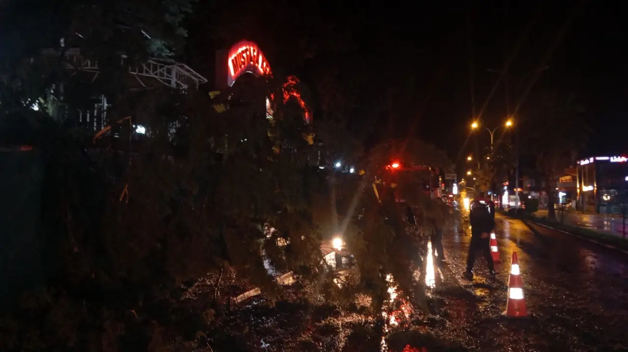 Düziçi’nde fırtına kabusu! Ağaçlar devrildi, yollar kapandı 3