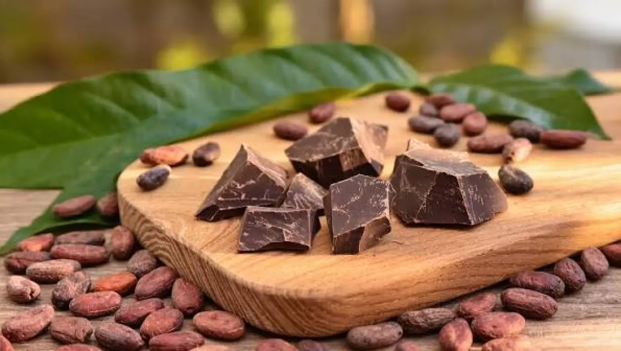 Masum mu, Kalori Tuzağı mı? Bitter Çikolatanın Sağlığa ve Kiloya Etkisi 5