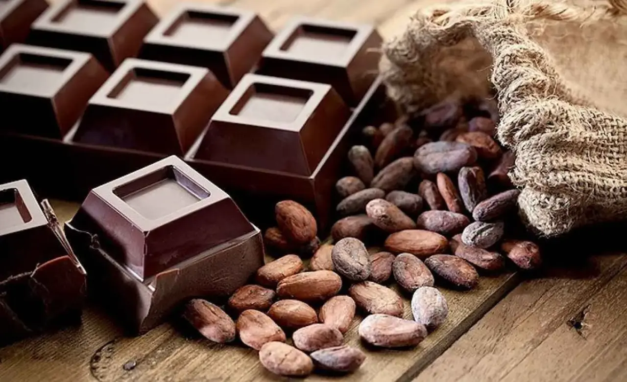 Masum mu, Kalori Tuzağı mı? Bitter Çikolatanın Sağlığa ve Kiloya Etkisi 6